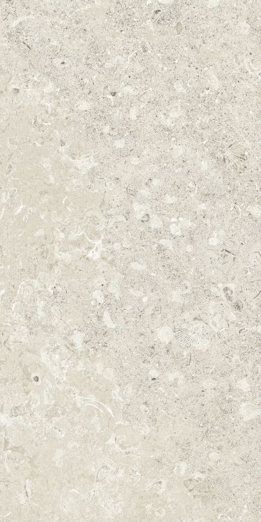 Sea Luster Avorio Matte 12 x 24